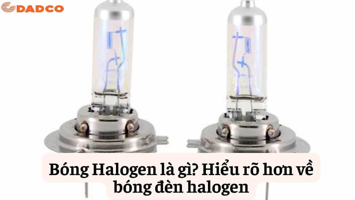 bong-halogen-la-gi